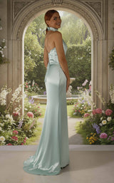 Terani 261P6152 Mint