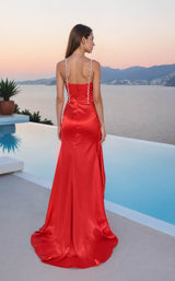 Terani 261P6155 Tomato