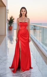 Terani 261P6155 Tomato