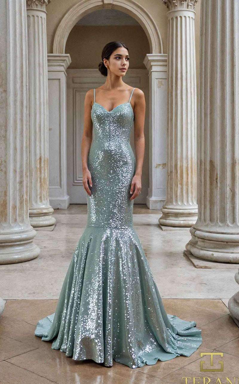 Terani 261P6165 Mint