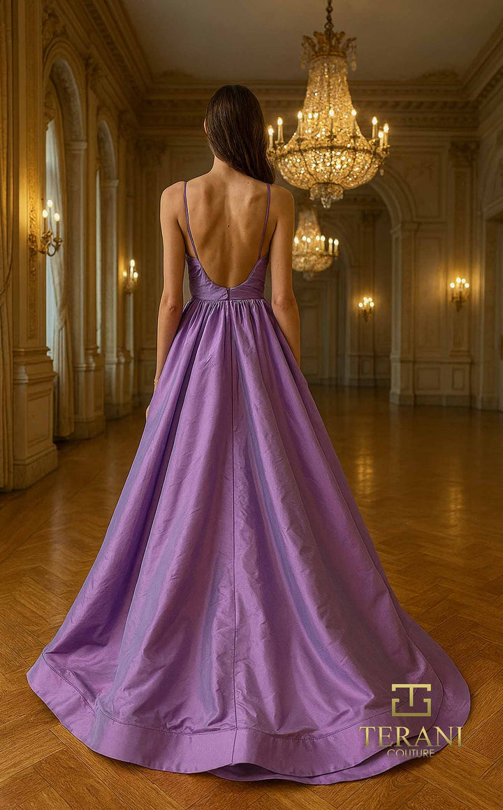 Terani 261p6172 Orchid