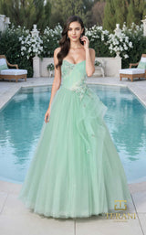 Terani 261p6197 Celery