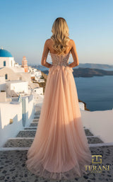 Terani 261P6631 Peach