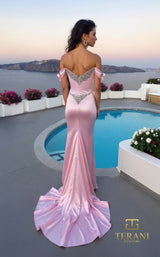 Terani 261P6660 Blush