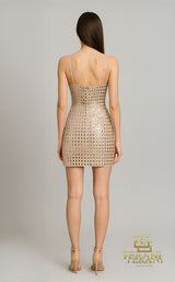 Terani 261P6691 Nude