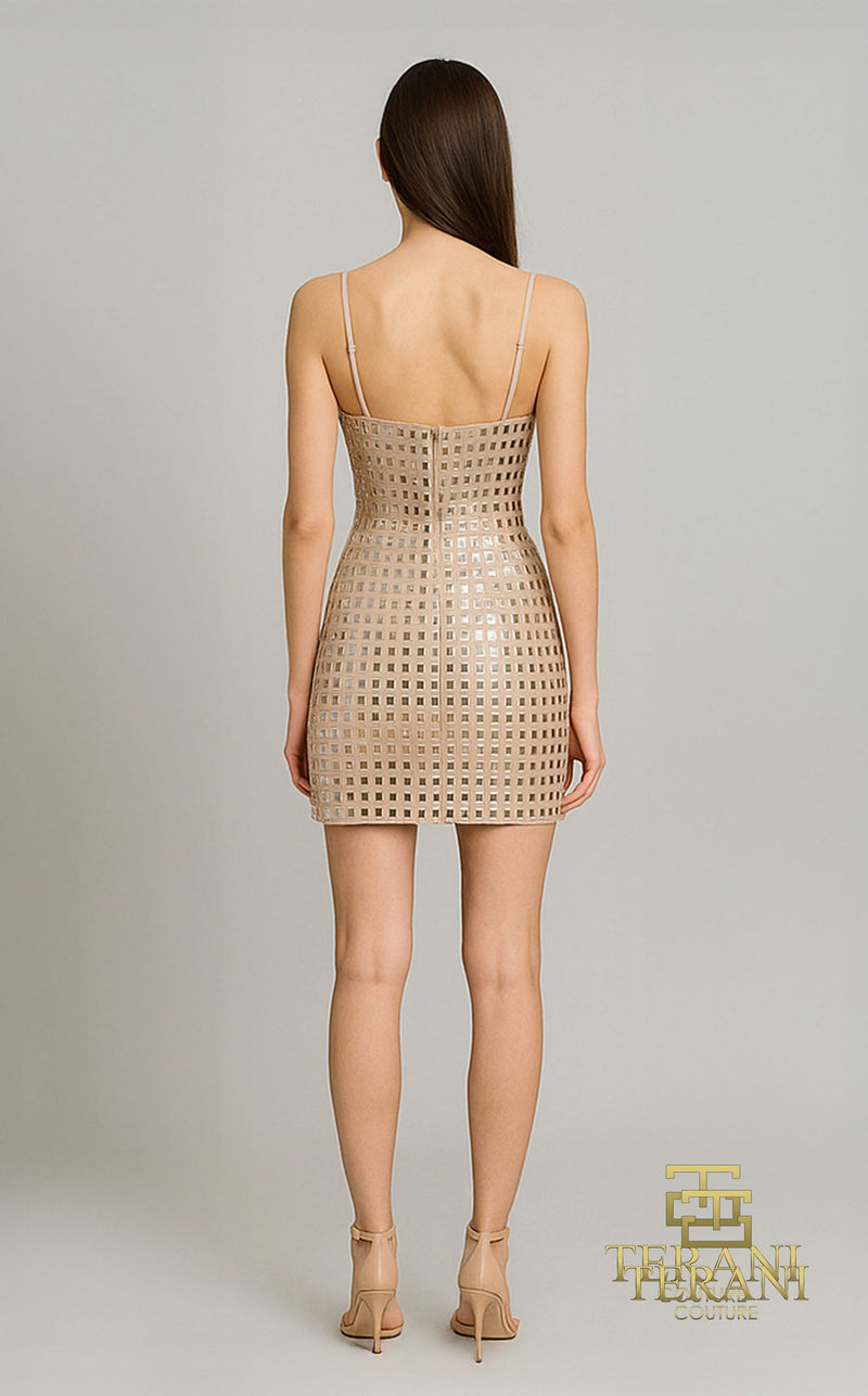 Terani 261P6691 Nude