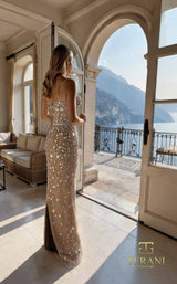 Terani 261P6735 Nude Multi