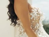 Terani 241P2006 Dress