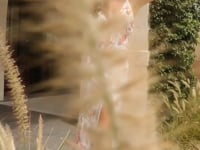 EXTERNAL VIDEO