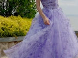 Colors Dress 3546 Dress