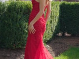 Colors Dress 3453 Dress