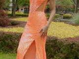 Colors Dress 3595 Dress