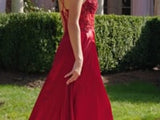Colors Dress 3436 Dress