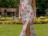Colors Dress 3550 Dress