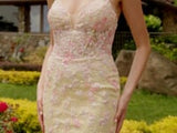 Colors Dress 3447 Dress