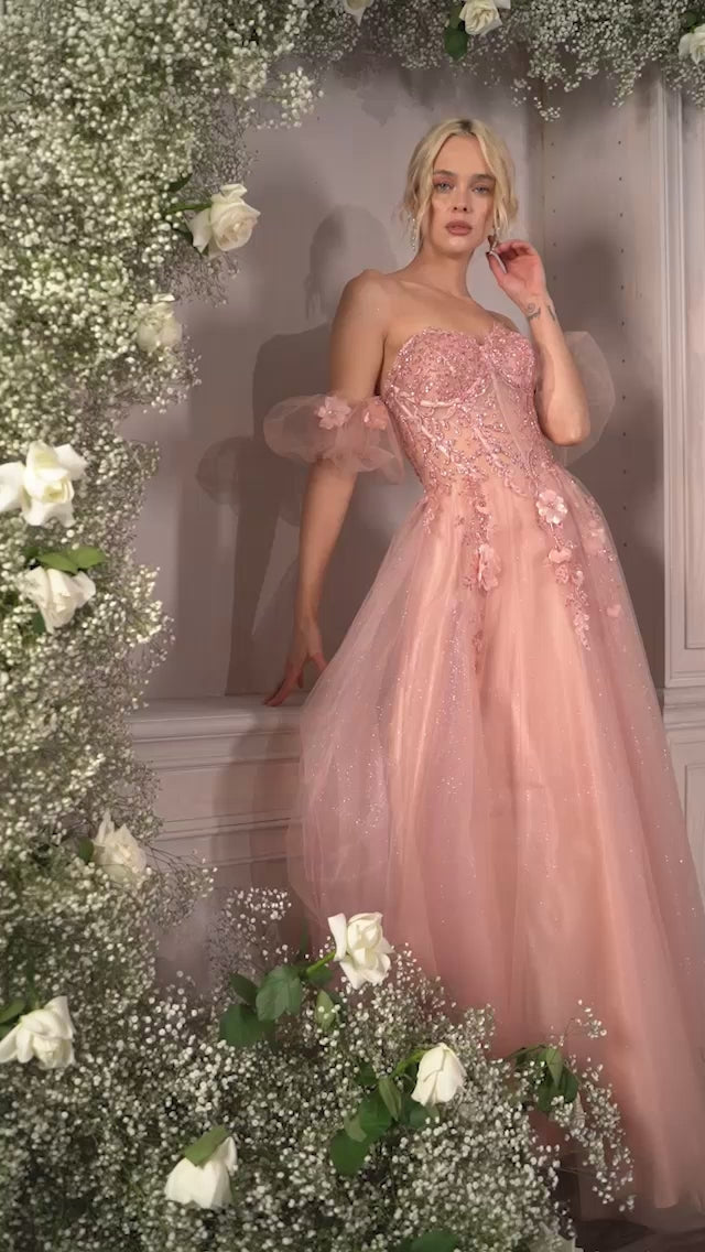 Cinderella Divine CD0191 Video