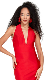 Passion 1002 Red