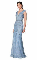 Ivonne D 119D54 Wedgwood