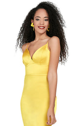 Passion 1228 Yellow