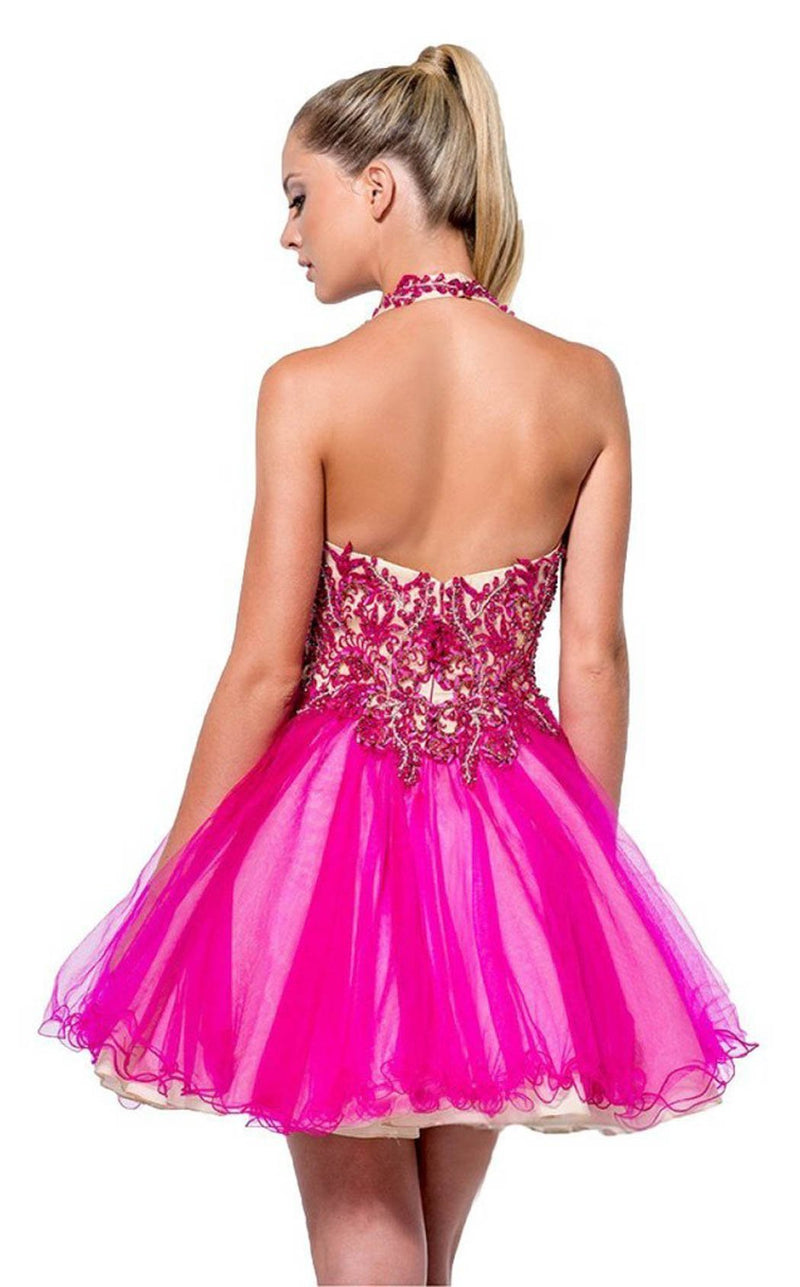 Terani 151P0008A Fuchsia