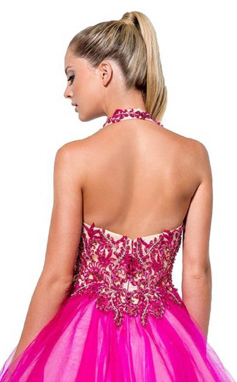 Terani 151P0008A Fuchsia