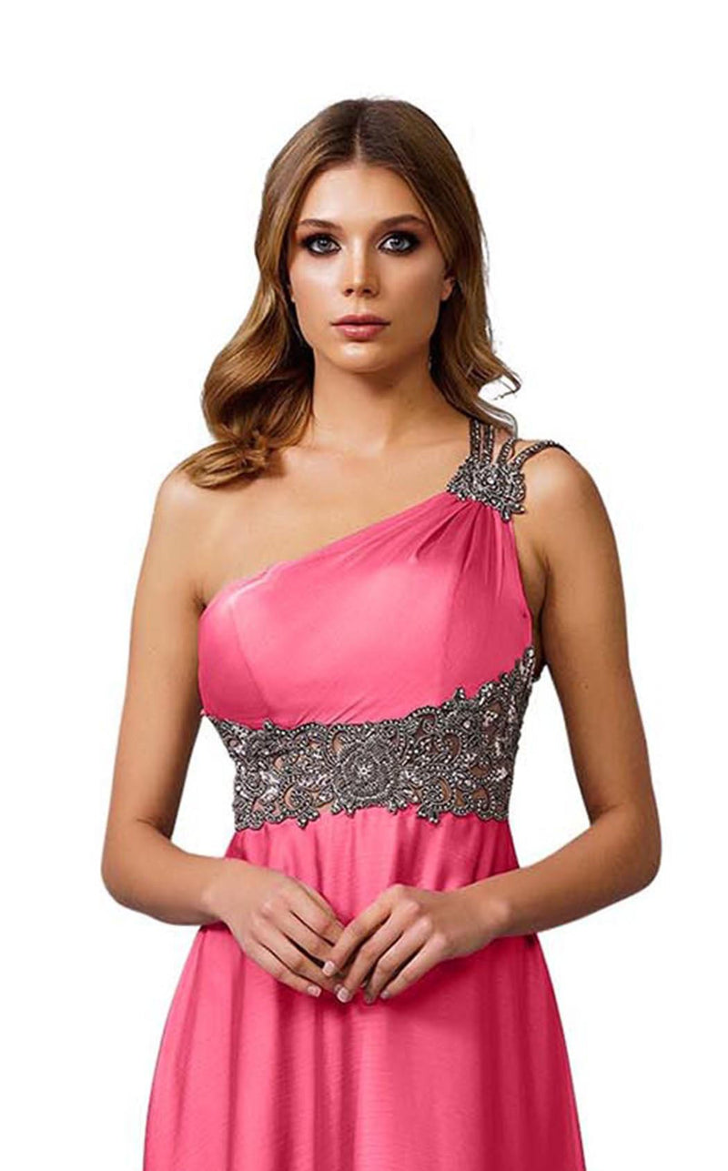 Dressing Room 1541 Rose