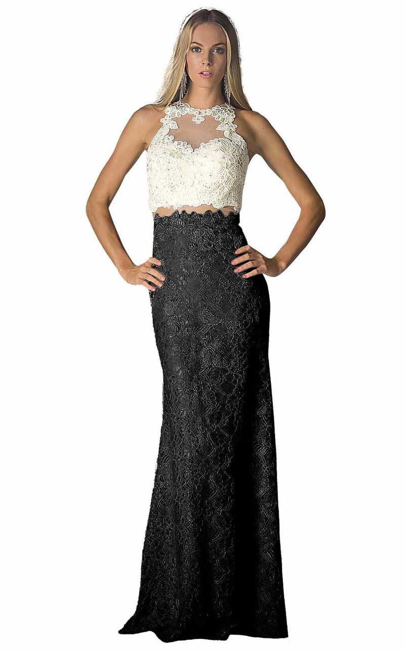 Cinderella Divine 1586 White-Black