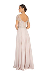 Terani 1911M9664 Champagne