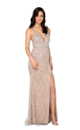 Terani 1911P8112 Blush-Nude