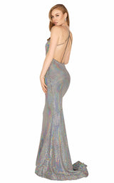 Terani 2011P1085 Hologram