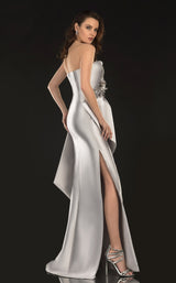 Terani 2021E2876 Silver Taupe