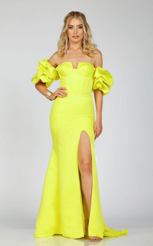 Used terani couture shop dresses