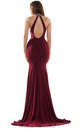 Colors Dress 2488 Wine