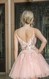 Dancing Queen 3261 Rose Gold