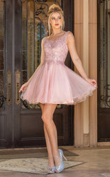 Dancing Queen 3304 Blush