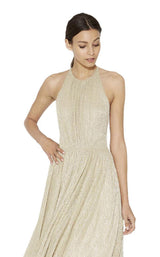 Halston Heritage XXJ152120T Pale-Gold