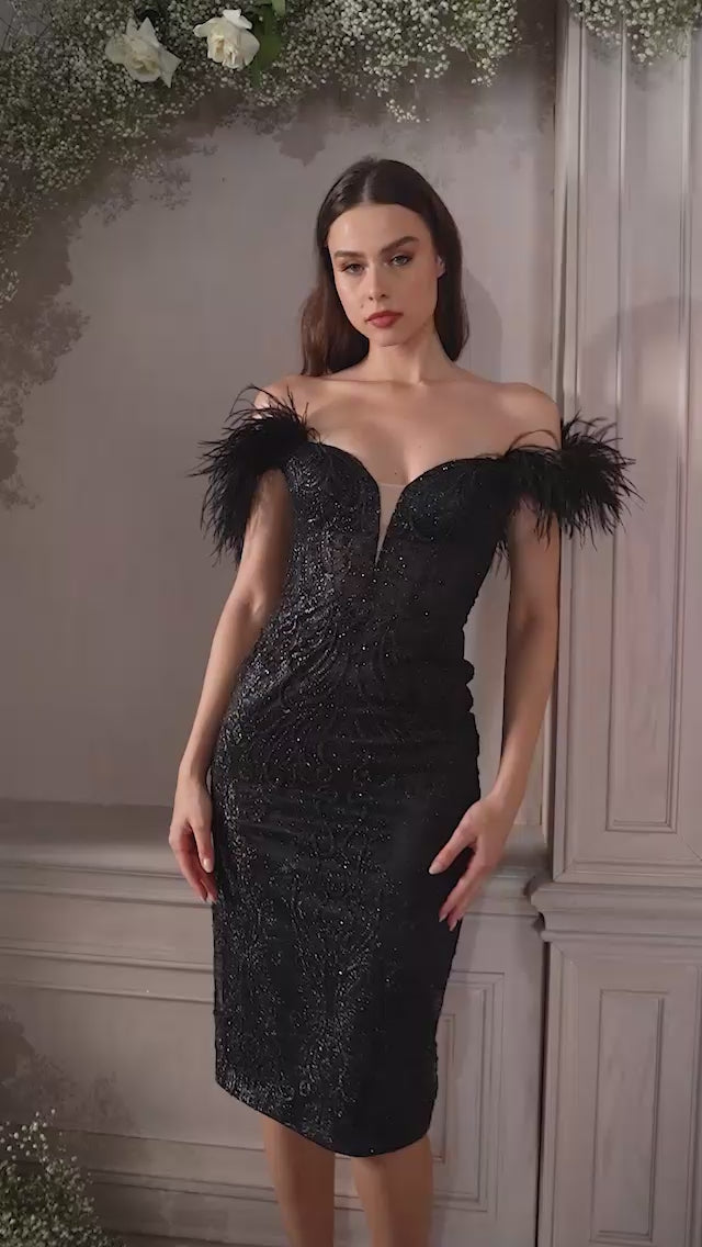 Cinderella Divine J829 Video