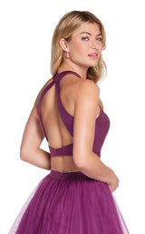 Alyce 60210