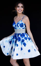 Vienna Prom V6115 Platinum