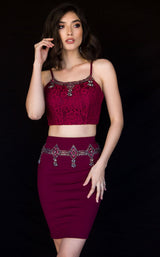 Vienna Prom V6150 Wine