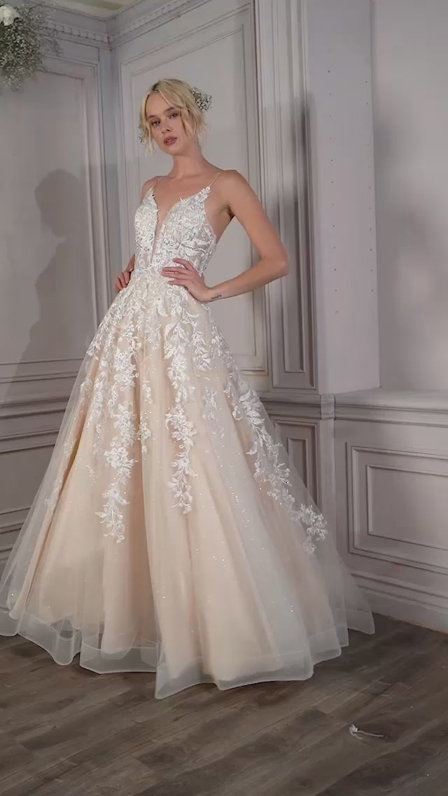 Cinderella Divine CM320 Video