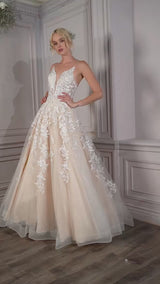 Cinderella Divine CM320 Video