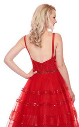 Rachel Allan 6576 Dress