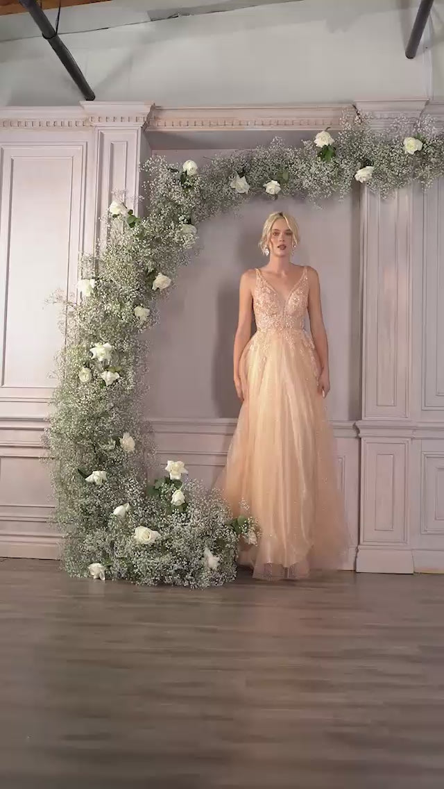 Cinderella Divine CD0196 Video