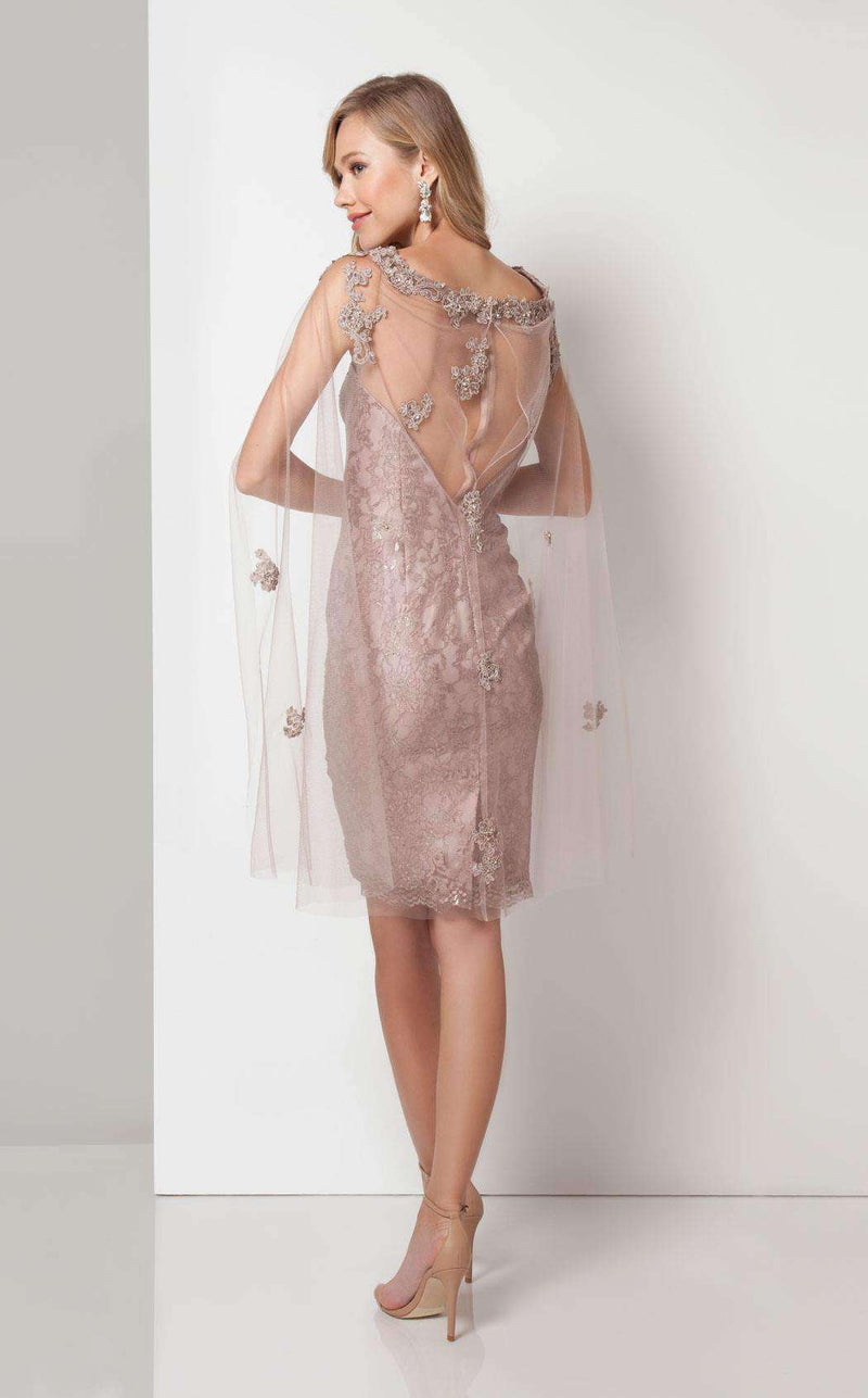 Terani 1713C3110 Mauve