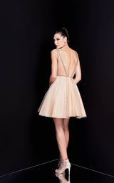 Terani 1721H4515 Cream/Gold