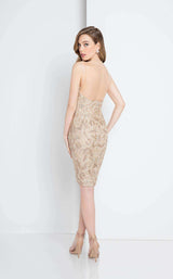 Terani 1721C4001 Champagne/Nude