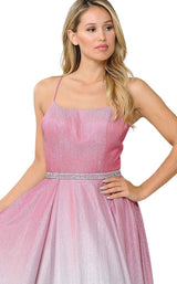 PolyUSA 8708 Rose