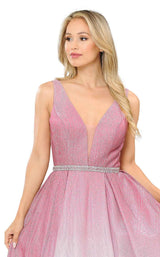 PolyUSA 8710 Rose