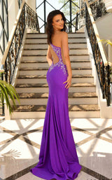 Amarra 88855 Purple